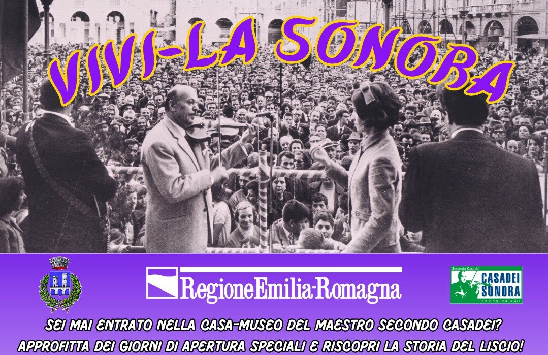 locandina vivi la sonora